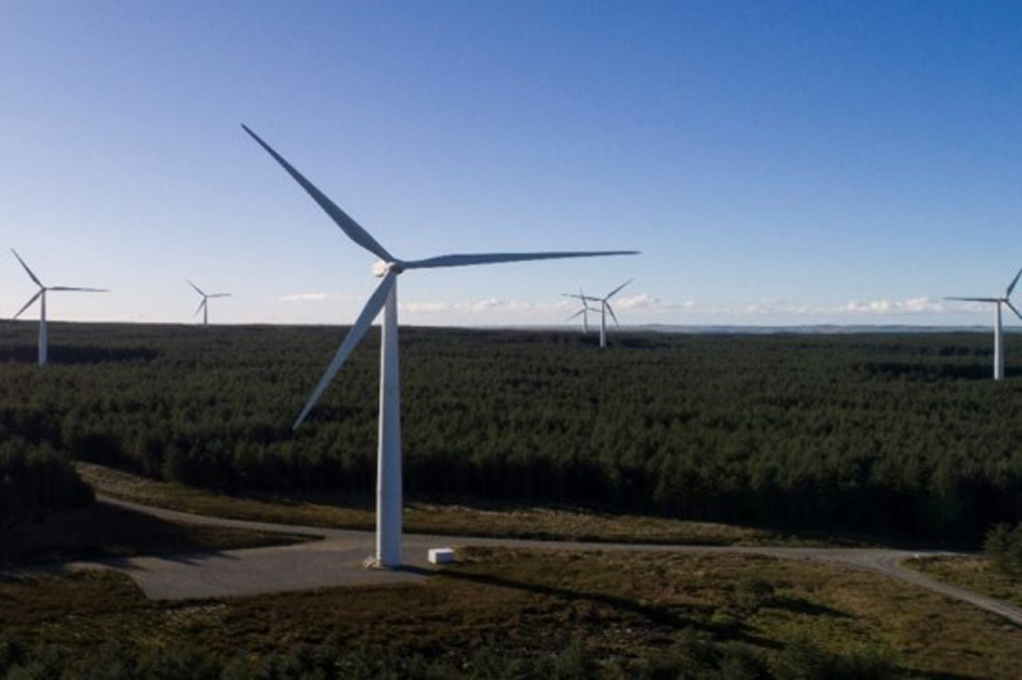 ‘Environmental madness’: Scottish Power wind turbines hooked up to diesel generators